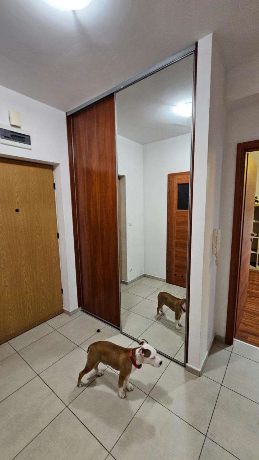 Apartament Lipinskiego Krakow Exterior photo