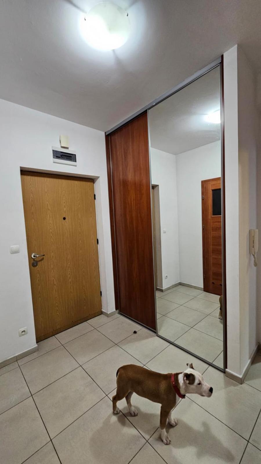 Apartament Lipinskiego Krakow Exterior photo